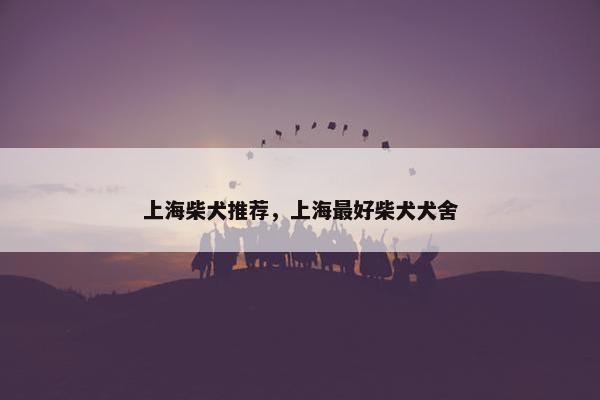 上海柴犬推荐，上海最好柴犬犬舍