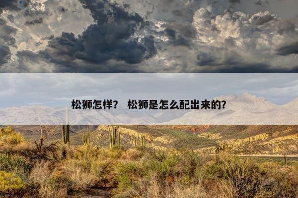 松狮怎样？ 松狮是怎么配出来的？