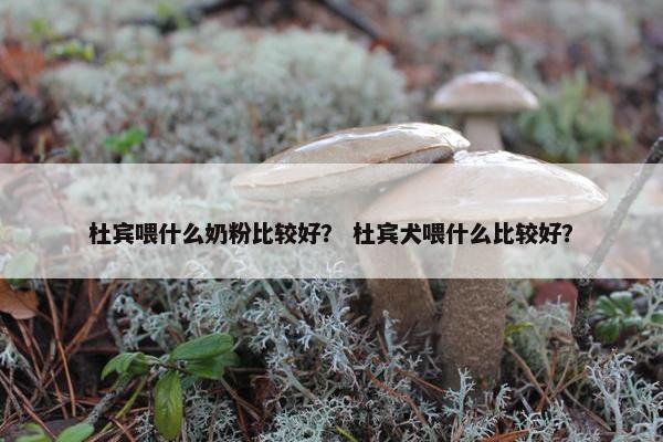 杜宾喂什么奶粉比较好？ 杜宾犬喂什么比较好？