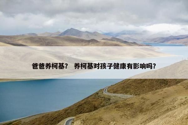 爸爸养柯基？ 养柯基对孩子健康有影响吗？