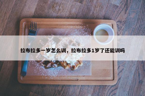 拉布拉多一岁怎么训，拉布拉多1岁了还能训吗