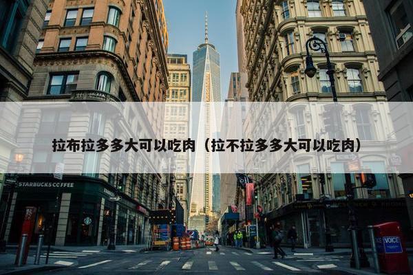 拉布拉多多大可以吃肉（拉不拉多多大可以吃肉）