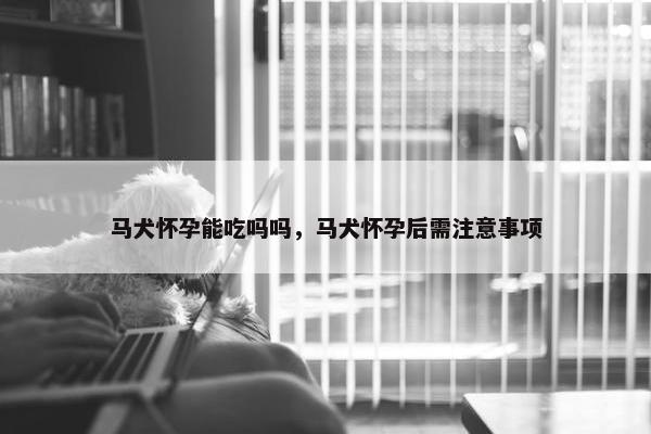 马犬怀孕能吃吗吗，马犬怀孕后需注意事项