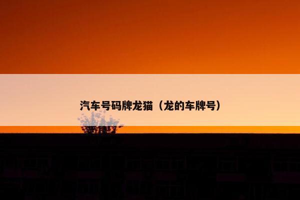 汽车号码牌龙猫（龙的车牌号）