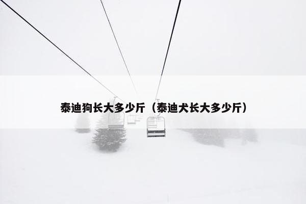 泰迪狗长大多少斤（泰迪犬长大多少斤）