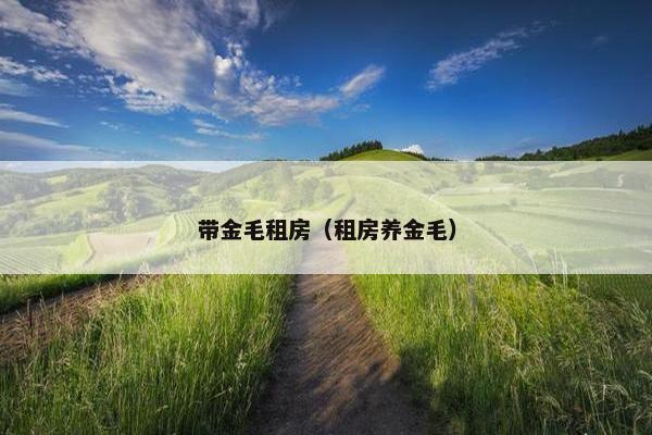 带金毛租房（租房养金毛）