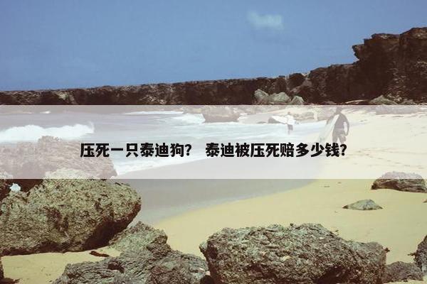 压死一只泰迪狗？ 泰迪被压死赔多少钱？