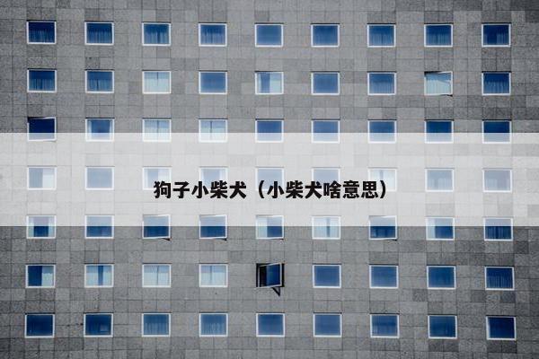 狗子小柴犬（小柴犬啥意思）