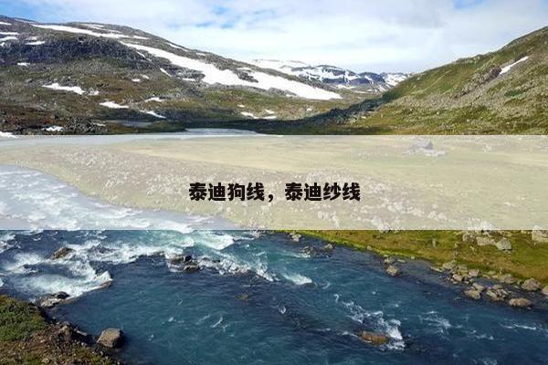 泰迪狗线，泰迪纱线