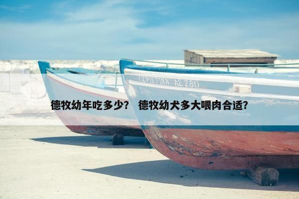 德牧幼年吃多少？ 德牧幼犬多大喂肉合适？