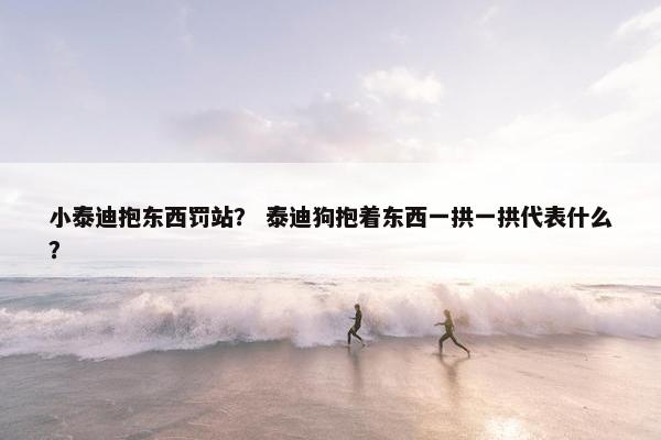 小泰迪抱东西罚站？ 泰迪狗抱着东西一拱一拱代表什么？