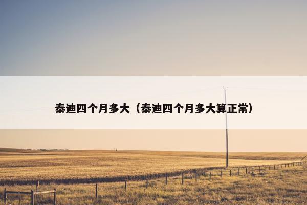 泰迪四个月多大（泰迪四个月多大算正常）
