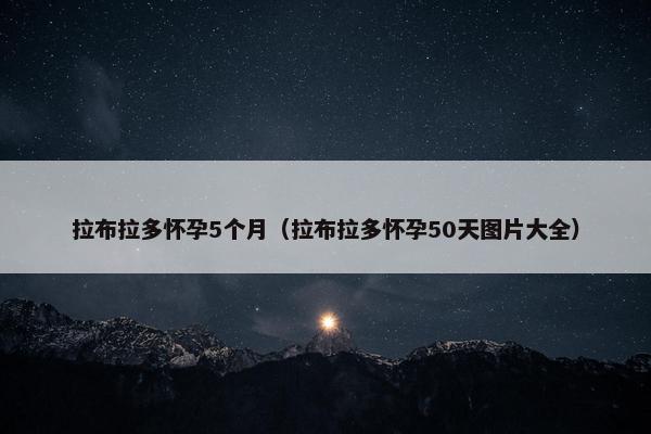 拉布拉多怀孕5个月（拉布拉多怀孕50天图片大全）