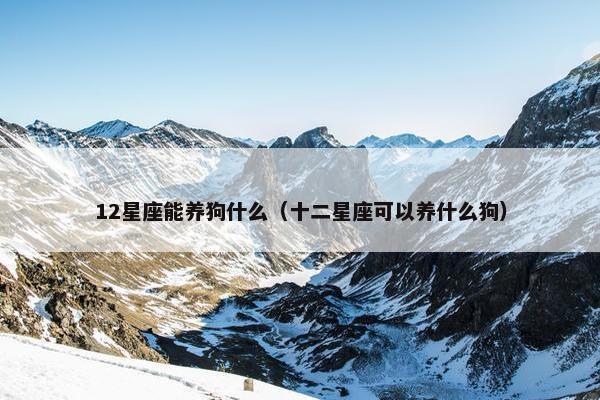 12星座能养狗什么（十二星座可以养什么狗）
