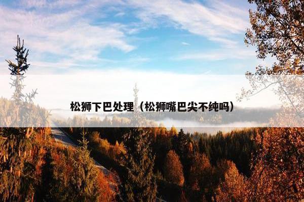 松狮下巴处理（松狮嘴巴尖不纯吗）