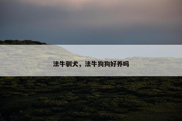 法牛驯犬，法牛狗狗好养吗