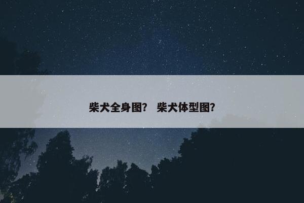 柴犬全身图？ 柴犬体型图？