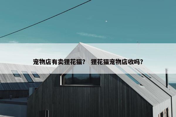 宠物店有卖狸花猫？ 狸花猫宠物店收吗？