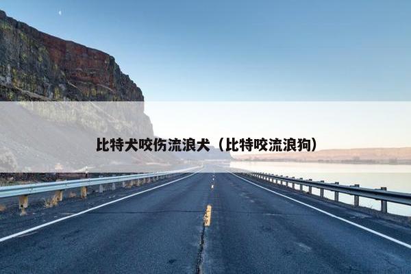 比特犬咬伤流浪犬（比特咬流浪狗）