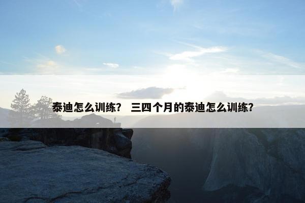 泰迪怎么训练？ 三四个月的泰迪怎么训练？