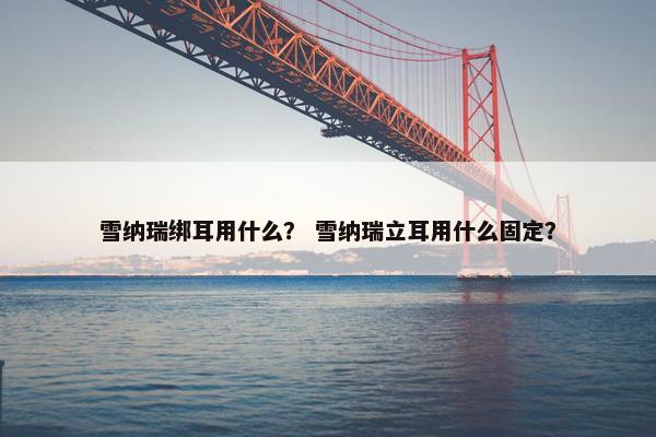 雪纳瑞绑耳用什么？ 雪纳瑞立耳用什么固定？