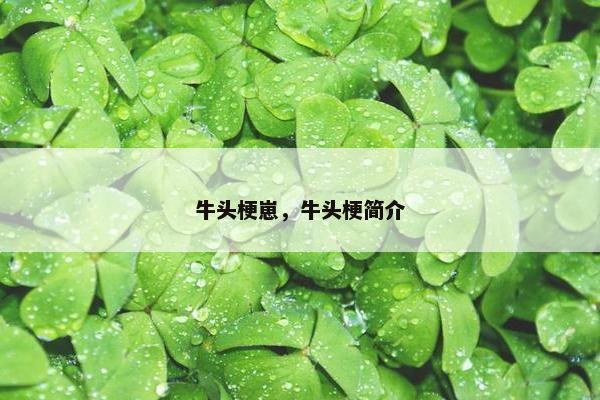 牛头梗崽，牛头梗简介
