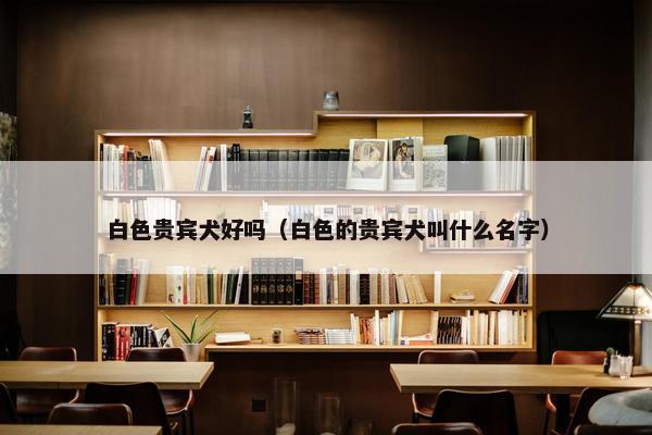 白色贵宾犬好吗（白色的贵宾犬叫什么名字）