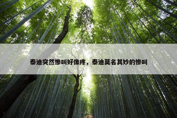 泰迪突然惨叫好像疼，泰迪莫名其妙的惨叫