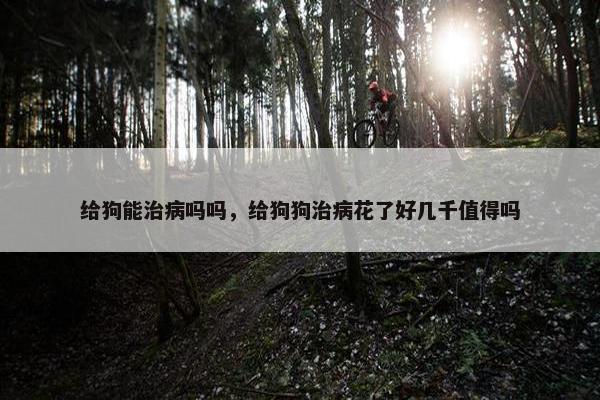 给狗能治病吗吗，给狗狗治病花了好几千值得吗