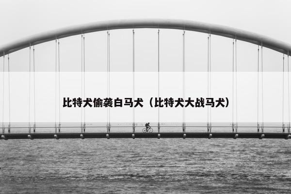 比特犬偷袭白马犬（比特犬大战马犬）