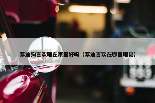 泰迪狗喜欢睡在家里好吗（泰迪喜欢在哪里睡觉）