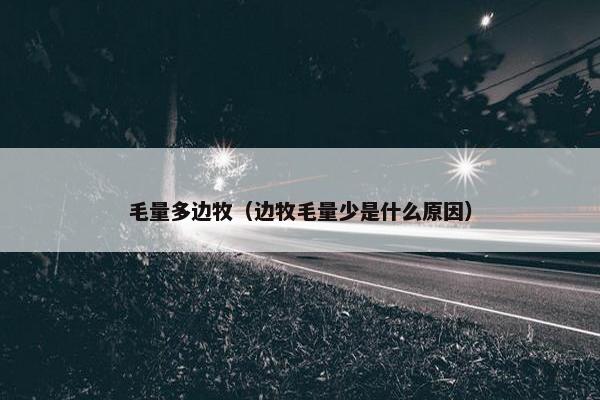 毛量多边牧（边牧毛量少是什么原因）