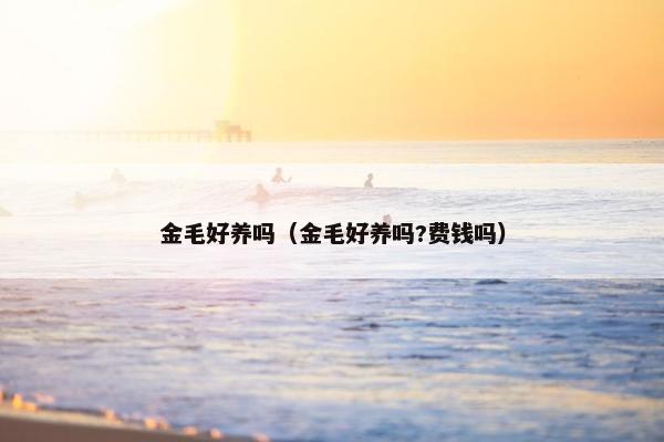 金毛好养吗（金毛好养吗?费钱吗）