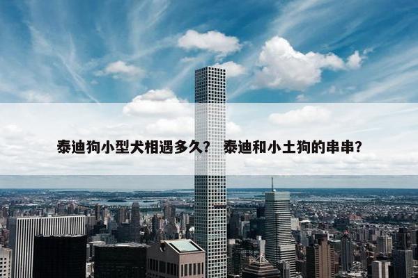 泰迪狗小型犬相遇多久？ 泰迪和小土狗的串串？