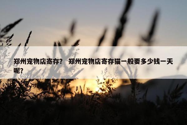 郑州宠物店寄存？ 郑州宠物店寄存猫一般要多少钱一天呢？