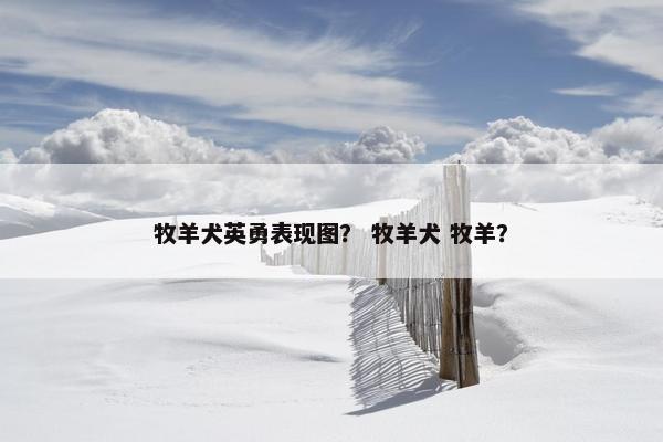 牧羊犬英勇表现图？ 牧羊犬 牧羊？