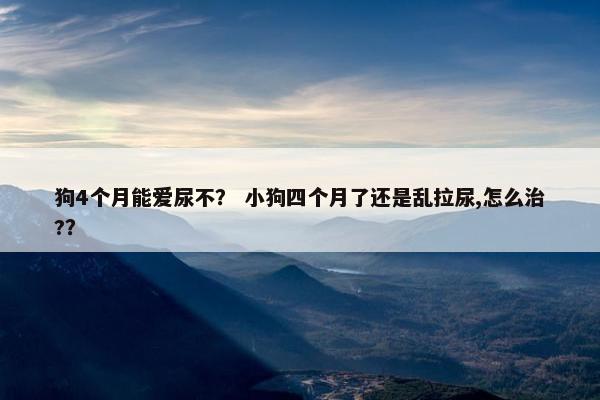 狗4个月能爱尿不？ 小狗四个月了还是乱拉尿,怎么治?？