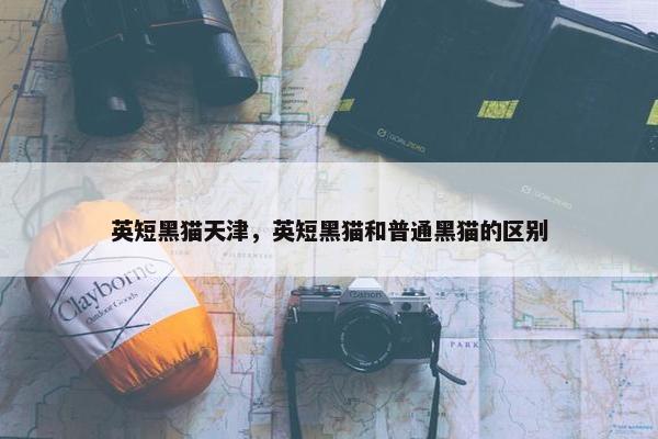 英短黑猫天津，英短黑猫和普通黑猫的区别