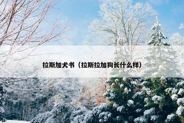拉斯加犬书（拉斯拉加狗长什么样）