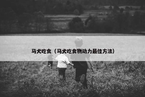 马犬吃食（马犬吃食物动力最佳方法）