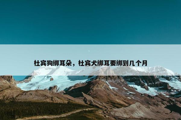 杜宾狗绑耳朵，杜宾犬绑耳要绑到几个月