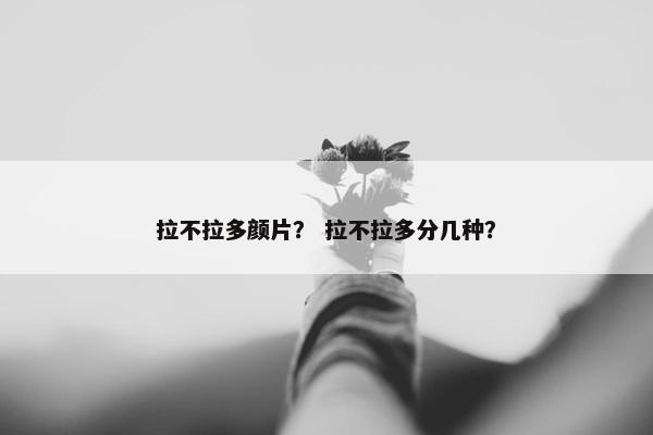 拉不拉多颜片？ 拉不拉多分几种？