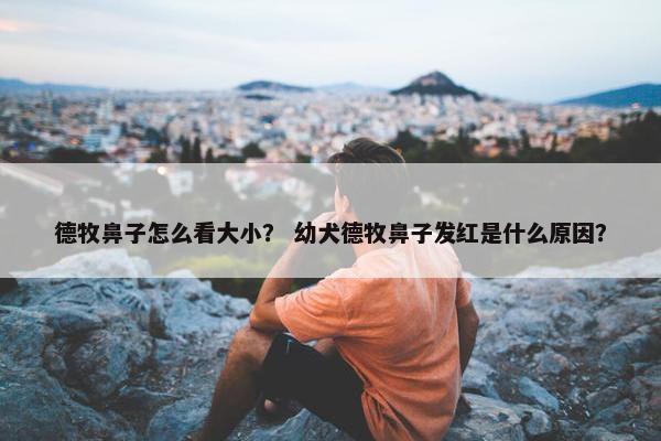 德牧鼻子怎么看大小？ 幼犬德牧鼻子发红是什么原因？