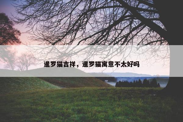 暹罗猫吉祥，暹罗猫寓意不太好吗