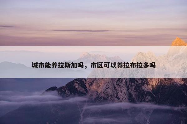 城市能养拉斯加吗，市区可以养拉布拉多吗