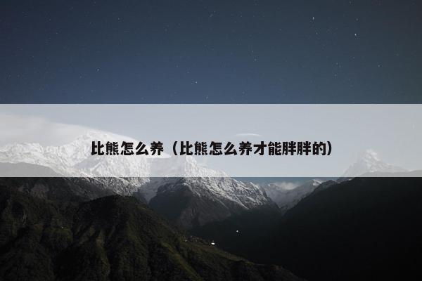 比熊怎么养（比熊怎么养才能胖胖的）