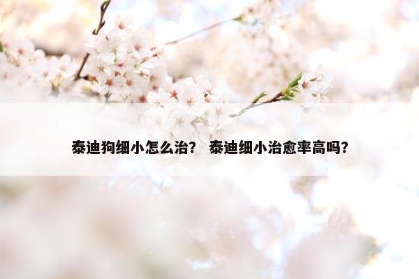泰迪狗细小怎么治？ 泰迪细小治愈率高吗？