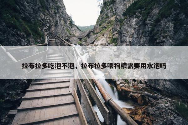 拉布拉多吃泡不泡，拉布拉多喂狗粮需要用水泡吗