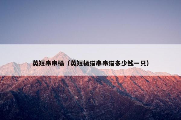 英短串串橘（英短橘猫串串猫多少钱一只）