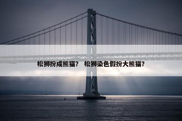 松狮扮成熊猫？ 松狮染色假扮大熊猫？